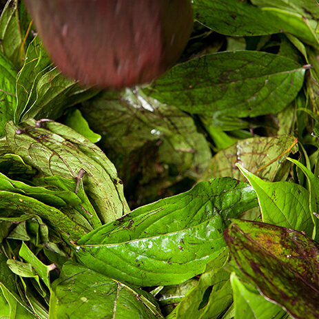 CHOKANAY 01_mosaico galeria.jpg